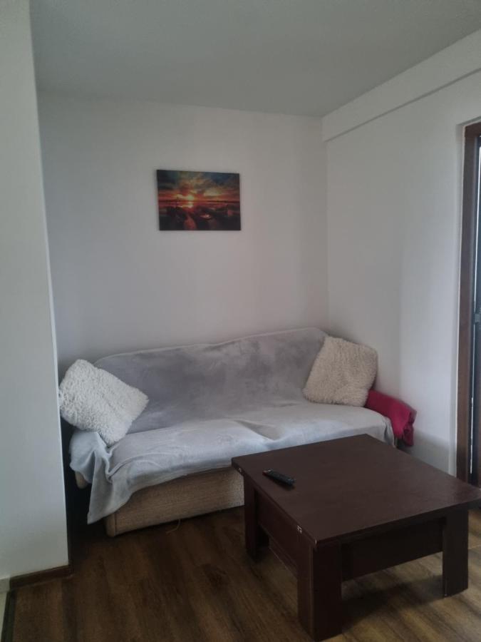 פיטסטי Apartament Central מראה חיצוני תמונה