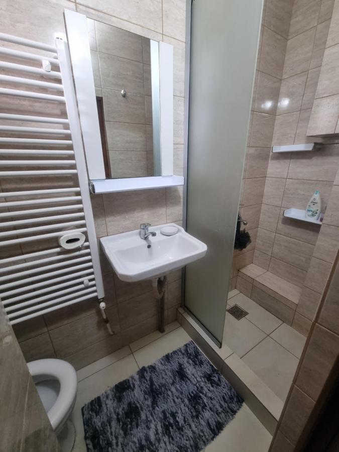 פיטסטי Apartament Central מראה חיצוני תמונה